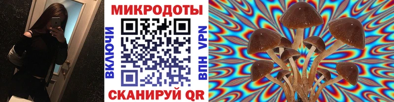 Галлюциногенные грибы Magic Shrooms Усть-Катав