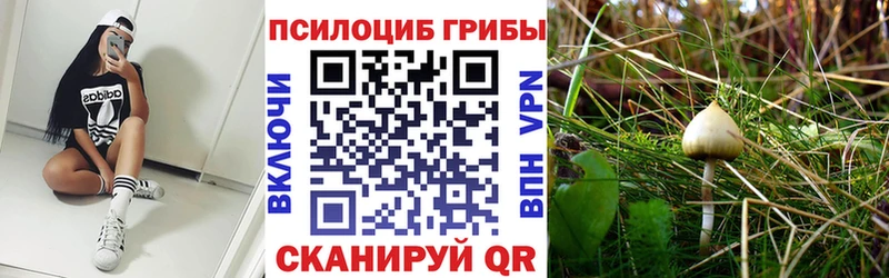 Псилоцибиновые грибы Magic Shrooms  Усть-Катав 